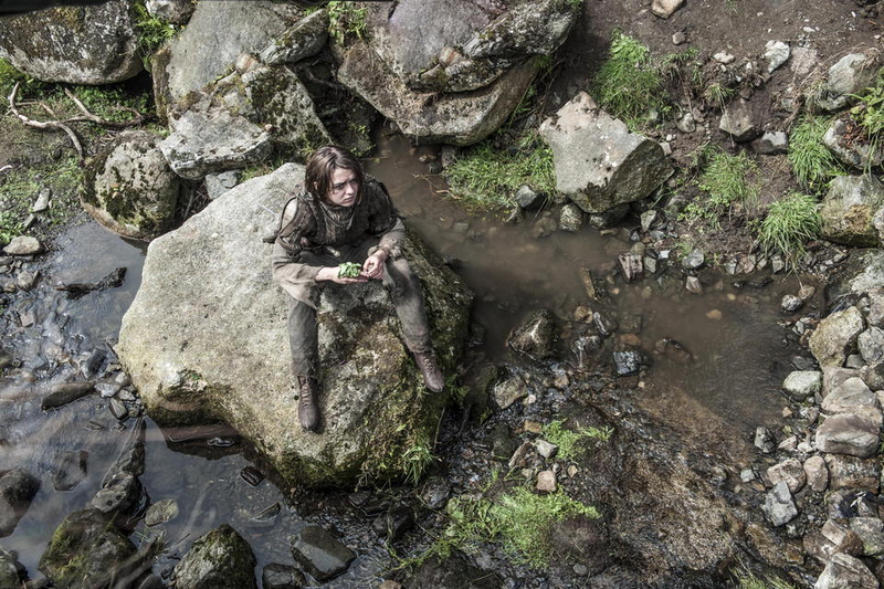 Illustration for article titled Did Game Of Thrones Finally Go Too Far?